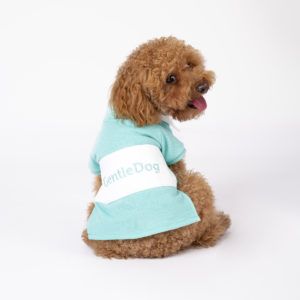 Camiseta Teddy